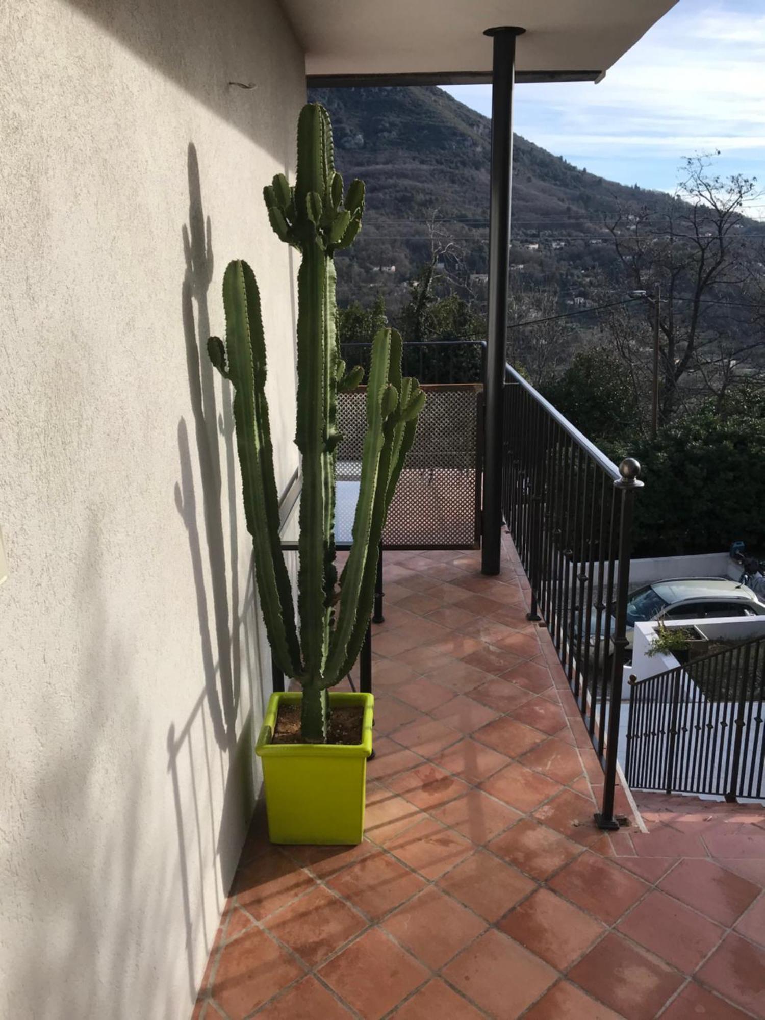 Haut De Villa Avec Vue - Le Bar Sur Loup 06 Εξωτερικό φωτογραφία